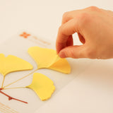 Appree - Sticky Notes | Yellow Ginkgo Leaf | Size L