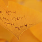Appree - Sticky Notes | Yellow Ginkgo Leaf | Size L
