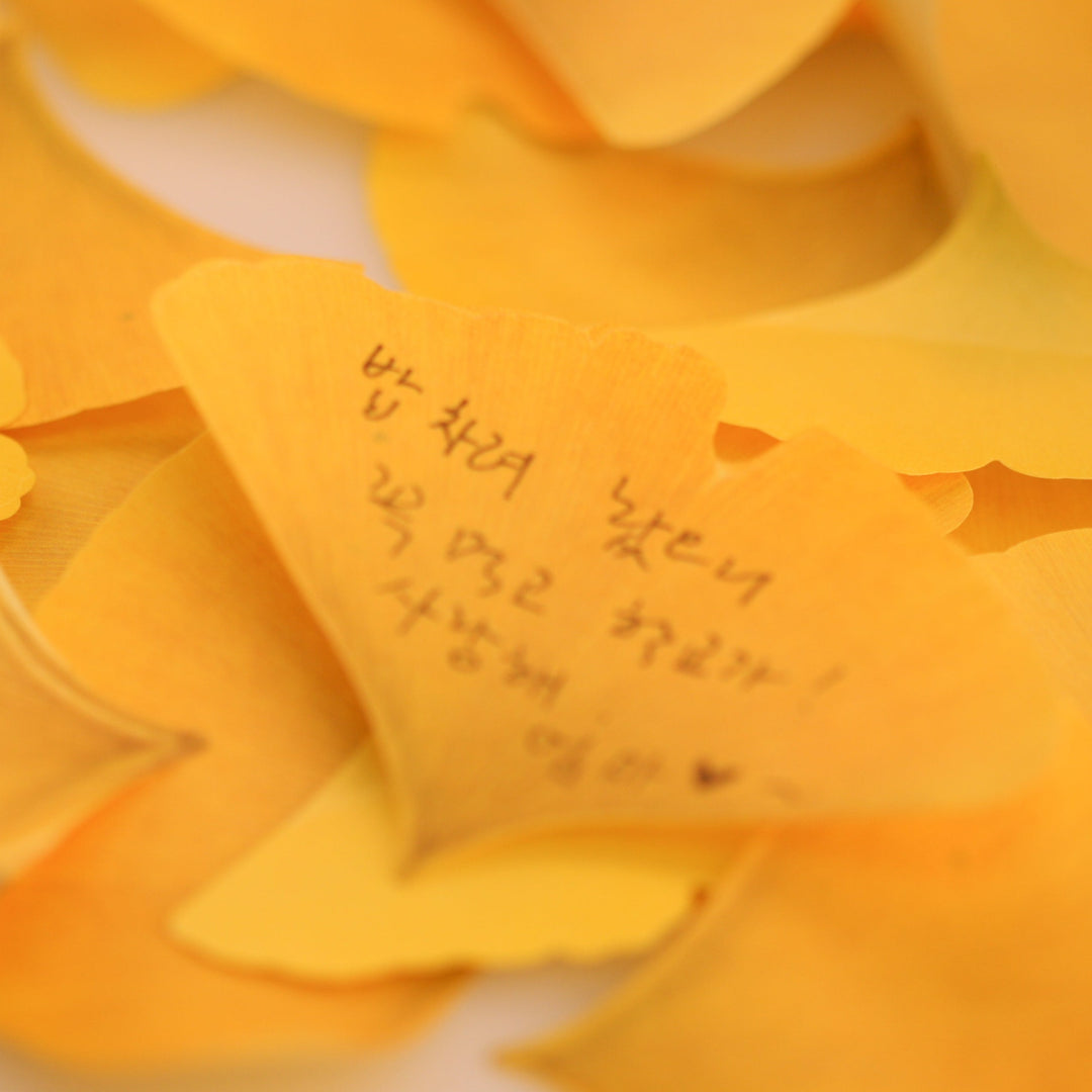 Appree - Sticky Notes | Yellow Ginkgo Leaf | Size L