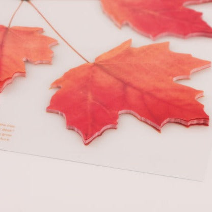 Appree - Sticky Notes | Red Maple Leaf | Size L