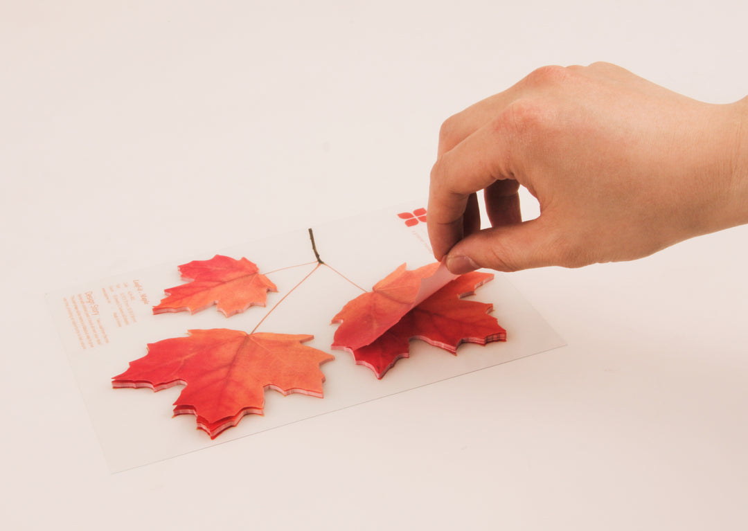 Appree - Sticky Notes | Red Maple Leaf | Size L