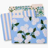 Rifle Paper Co. -  Set de 6 Folders | Hydrangea